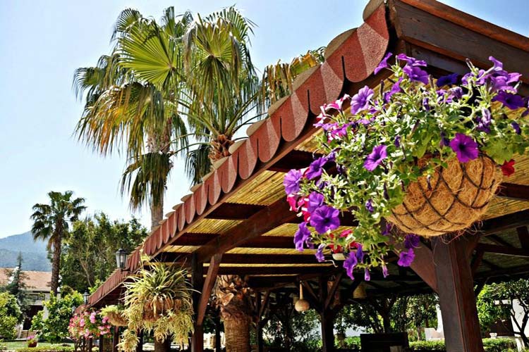 The Authentic Pergola