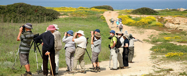 Bird watching north cyprus