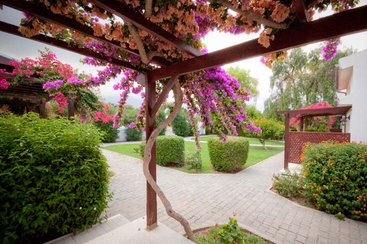 Citrus Tree Gardens - Kyrenia, Northern Cyprus