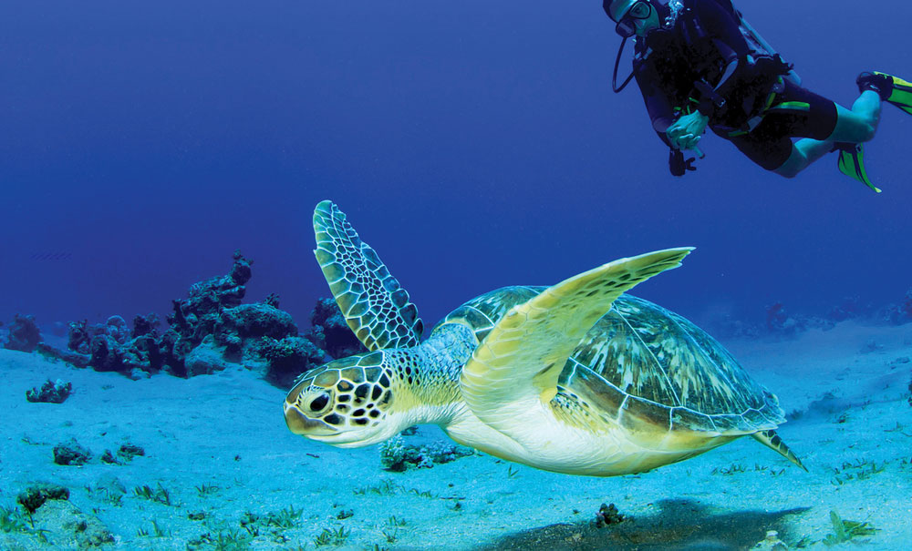 Scuba Diving in North Cyprus