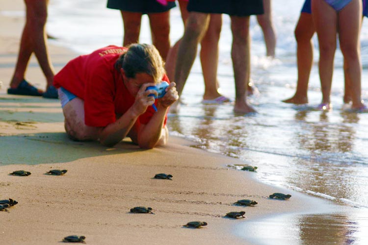 North Cyprus Turtle Watching